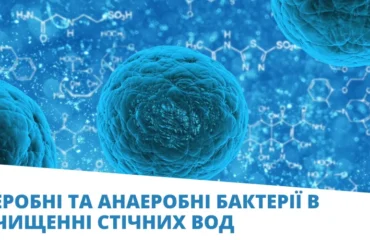 бактерії стаття