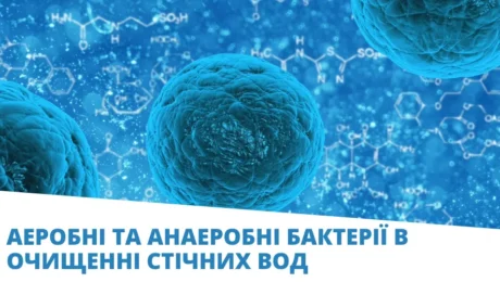 бактерії стаття